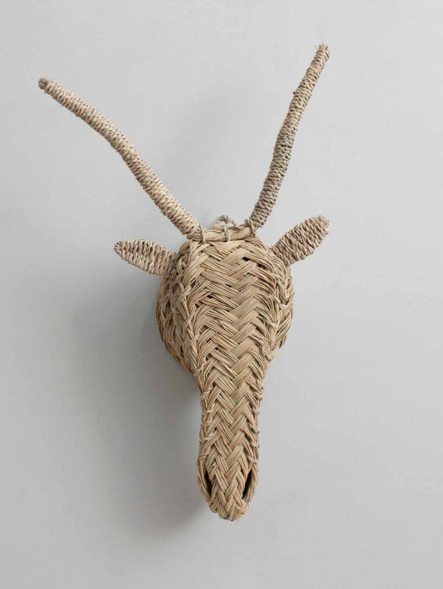 Grande tête de Gazelle tressée