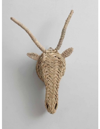 Grande tête de Gazelle tressée